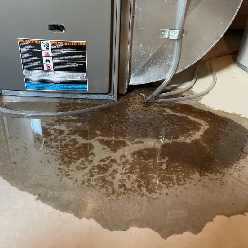 Appliance Leak Cleanup in Knightdale, NC